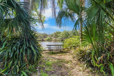 Land in Tampa, Florida № 2166477 - photo 9