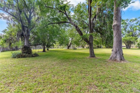Land in Tampa, Florida № 2166477 - photo 2