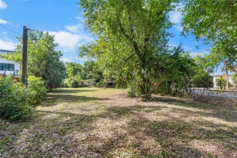 Land in Tampa, Florida № 2166477 - photo 8