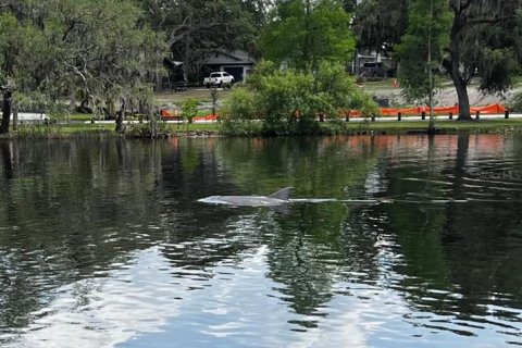 Land in Tampa, Florida № 2166477 - photo 18