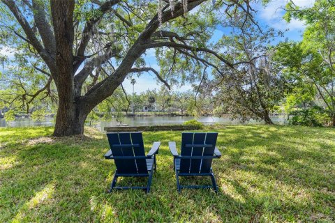 Land in Tampa, Florida № 2166477 - photo 10