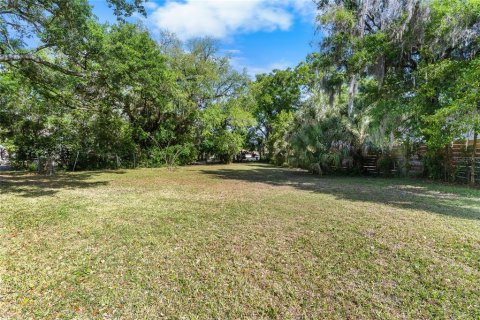 Land in Tampa, Florida № 2166477 - photo 7