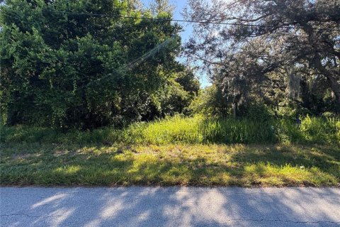 Land in Avon Park, Florida № 2161209