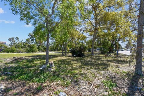 Land in Clearwater, Florida № 1572623 - photo 16