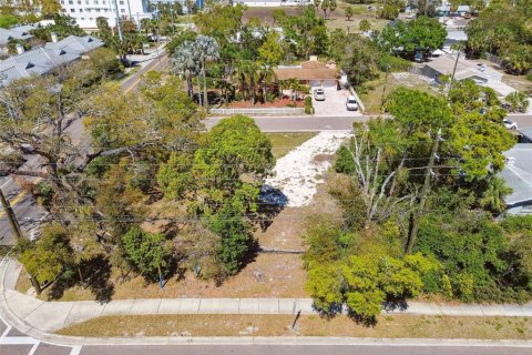 Land in Clearwater, Florida № 1572623 - photo 17