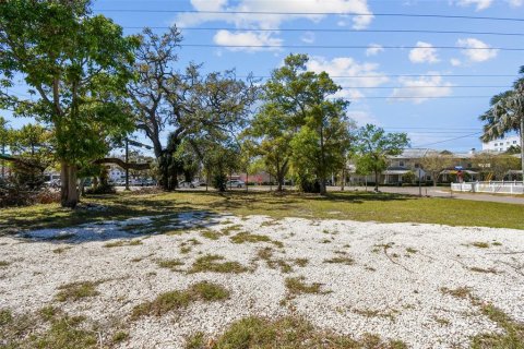 Land in Clearwater, Florida № 1572623 - photo 15
