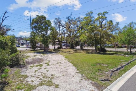 Land in Clearwater, Florida № 1572623 - photo 13