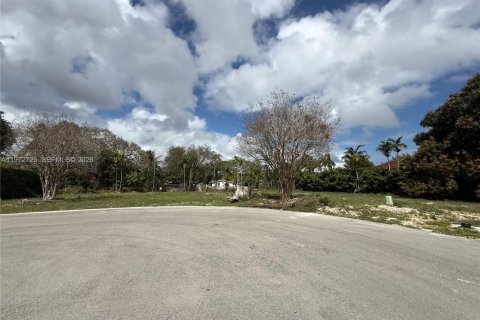 Terrain à vendre à Miami, Floride № 2040651 - photo 2