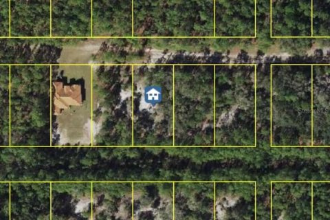 Terreno en Indian lake estates, Florida № 2258752