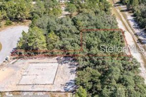 Terreno en venta en Kissimmee, Florida № 1425868 - foto 1