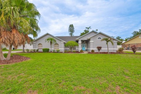 House in Lakeland, Florida 4 bedrooms, 330.55 sq.m. № 1769191 - photo 1