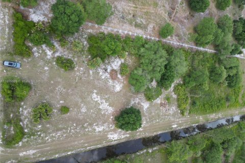 Land in Clewiston, Florida № 1878418 - photo 4