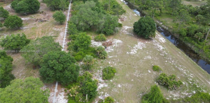 Land in Clewiston, Florida № 1878418