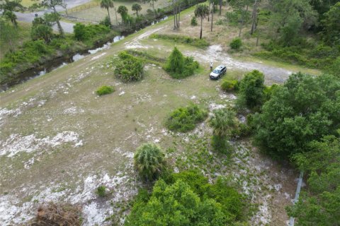 Land in Clewiston, Florida № 1878418 - photo 2