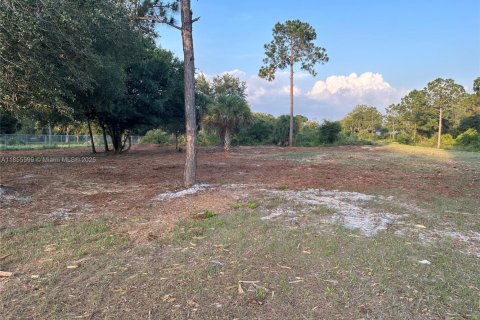 Land in Clewiston, Florida № 1878418 - photo 7