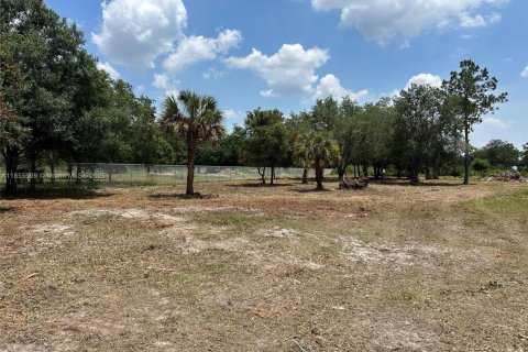 Land in Clewiston, Florida № 1878418 - photo 6