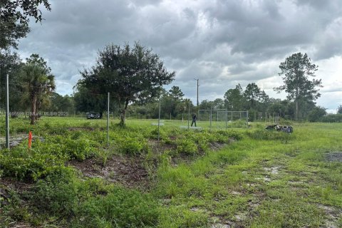 Land in Clewiston, Florida № 1878418 - photo 5