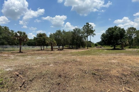 Land in Clewiston, Florida № 1878418 - photo 3