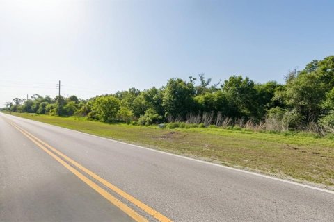 Land in Port Charlotte, Florida № 2164702 - photo 6