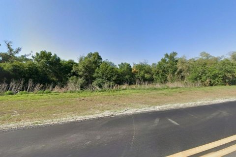 Land in Port Charlotte, Florida № 2164702 - photo 5