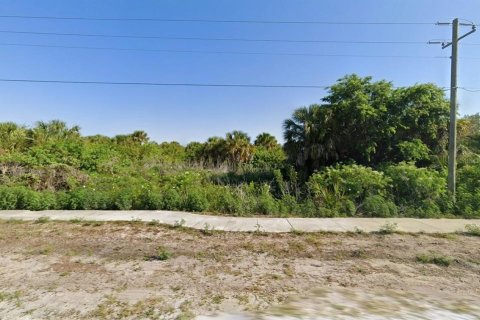Land in Port Charlotte, Florida № 2164702 - photo 8