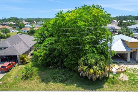 Terreno en venta en Palm Coast, Florida № 1782415 - foto 3