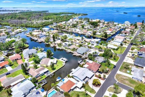 Villa ou maison à vendre à Palm Harbor, Floride: 4 chambres, 188.31 m2 № 1800074 - photo 2