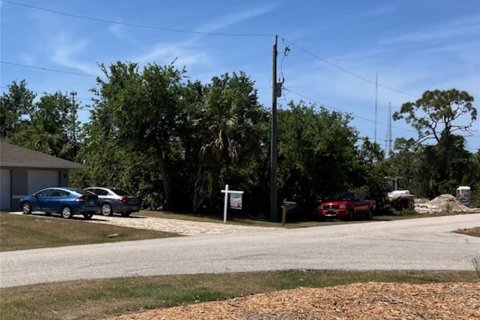 Land in Port Charlotte, Florida № 1717214 - photo 10