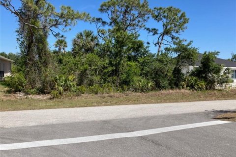 Land in Port Charlotte, Florida № 1717214 - photo 13