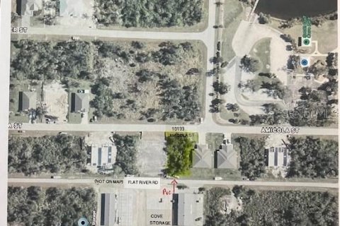 Land in Port Charlotte, Florida № 1717214 - photo 9
