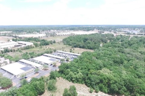Land in Lady Lake, Florida № 2166230 - photo 2