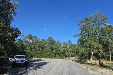 Land in Brooksville, Florida № 2195097 - photo 20