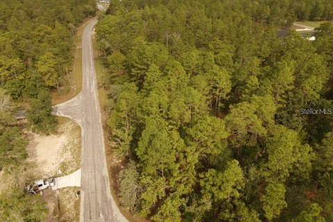Land in Brooksville, Florida № 2195097 - photo 6