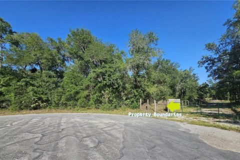 Land in Brooksville, Florida № 2195097 - photo 3