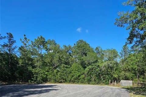 Land in Brooksville, Florida № 2195097 - photo 19