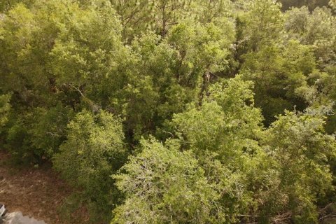 Land in Brooksville, Florida № 2195097 - photo 11