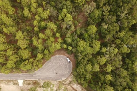 Land in Brooksville, Florida № 2195097 - photo 14