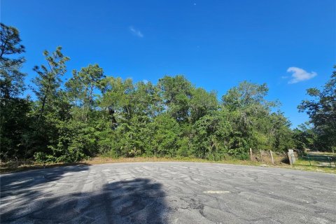 Land in Brooksville, Florida № 2195097