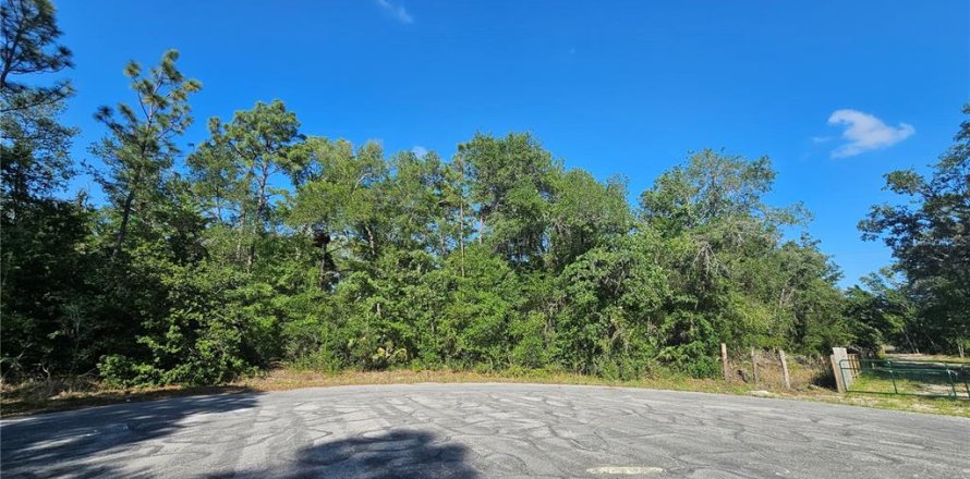 Land in Brooksville, Florida № 2195097