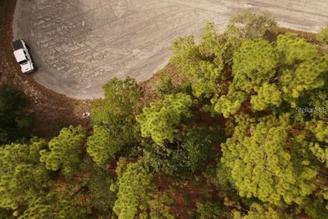 Land in Brooksville, Florida № 2195097 - photo 18
