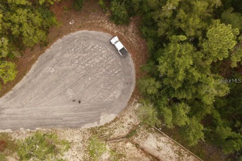 Land in Brooksville, Florida № 2195097 - photo 12
