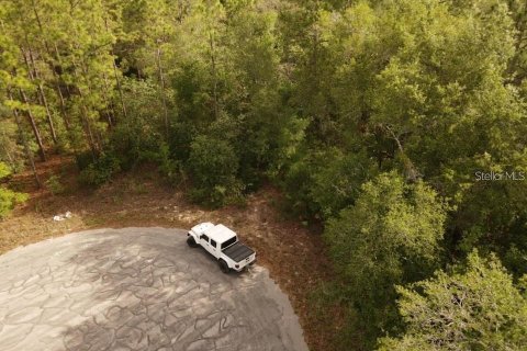 Land in Brooksville, Florida № 2195097 - photo 10