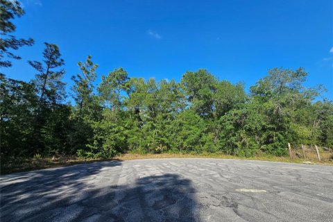 Land in Brooksville, Florida № 2195097 - photo 2