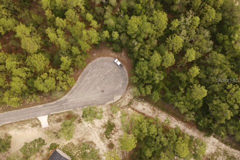 Land in Brooksville, Florida № 2195097 - photo 13