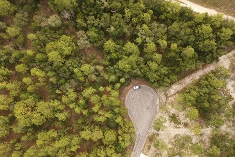 Land in Brooksville, Florida № 2195097 - photo 15