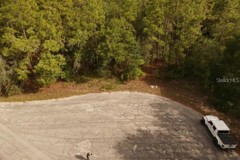 Land in Brooksville, Florida № 2195097 - photo 9