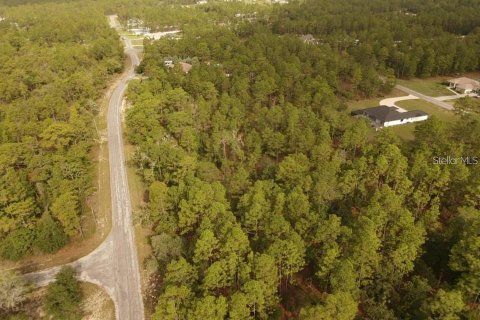 Land in Brooksville, Florida № 2195097 - photo 8