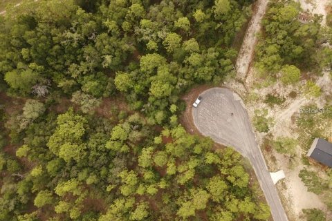 Land in Brooksville, Florida № 2195097 - photo 16