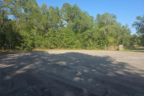 Land in Brooksville, Florida № 2195097 - photo 4
