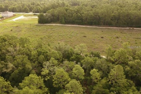 Land in Brooksville, Florida № 2195097 - photo 7